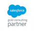 Salesforce-Gold-Consulting-Partner-300x300